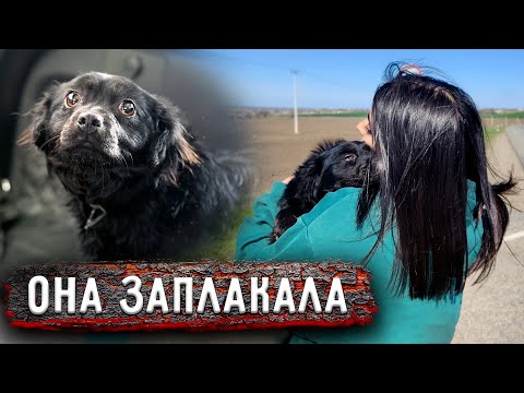 She was thrown out onto the highway; she didn’t expect that among the indifferent people passing ...