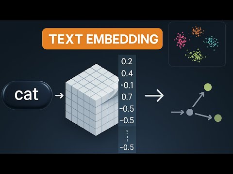 How AI Turns Words Into Vectors: Embeddings