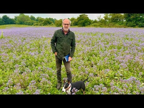 It's finally rained & the crops are transformed but is DEFRA about to bash farmers again?