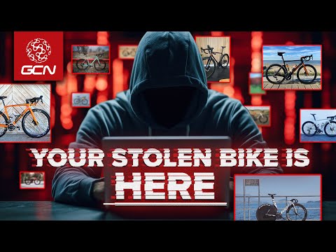 How One Man Makes Millions Trafficking Stolen Bikes & No One Can Stop Him