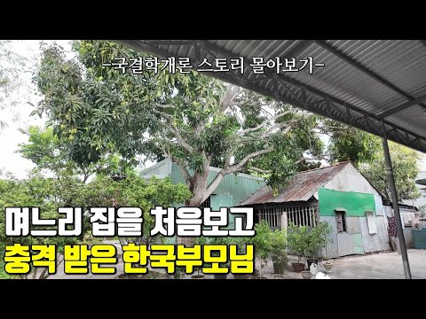 베트남 국제결혼 며느리 집을 처음보고 충격받은 한국부모님🤭 솔직남과 직진녀의 국결학개론 스토리 한방에 몰아보기