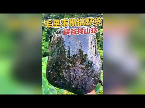 毛里求斯峡谷找山珍搞野货