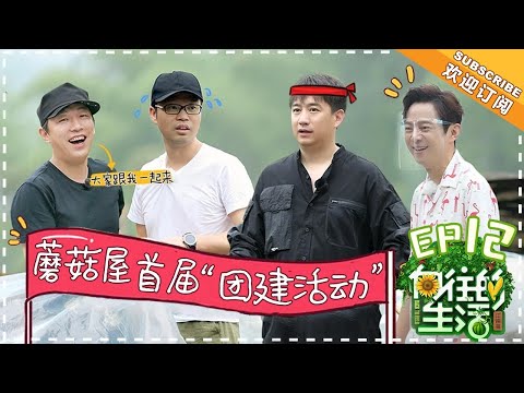 【ENG SUB】《向往的生活2》第12期 黄渤尬舞花式“洗脑” 全场!何炅自曝拍戏怒摔对讲机? Back to field S2 EP12【芒果TV生活风尚频道】