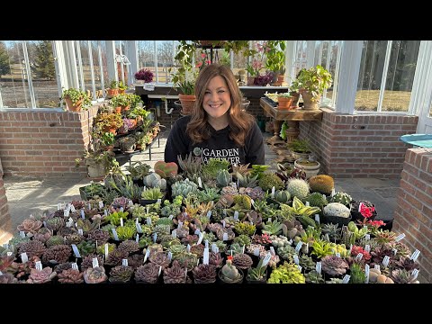 HUGE Succulent Unboxing! π³π΅π // Garden Answer