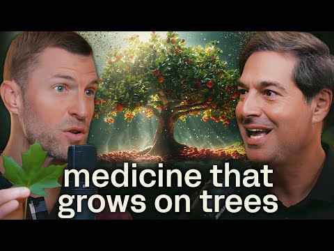 The GREATEST Health Discovery Has Been Hiding in Plain Sight for 2000 YEARS