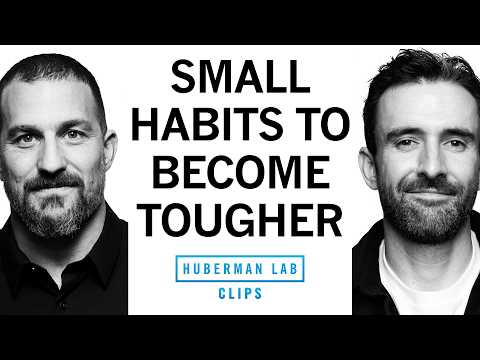 Daily Habits for Increasing Grit & Resilience | Michael Easter & Dr. Andrew Huberman