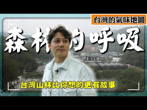 Breathing with the Forest – The Air of Taiwan’s Mountains Holds More Stories Than You Imagine!