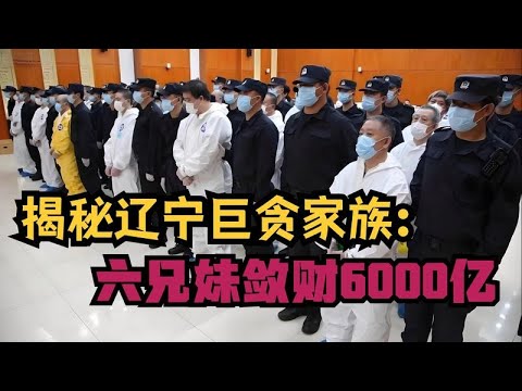 揭開遼寧驚天貪腐家族:六兄妹狂攬6000億財富,坐擁2700套房產與豪車