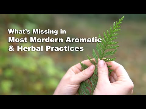 What's Missing in Most Modern Herbal & Aromatic Medicine Practices