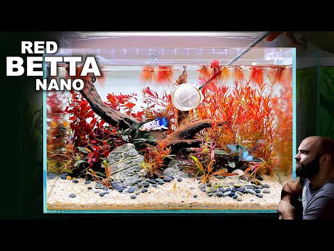 FULL AQUARIUM BUILD - Red Betta Fish Nano Aquascape Tutorial!