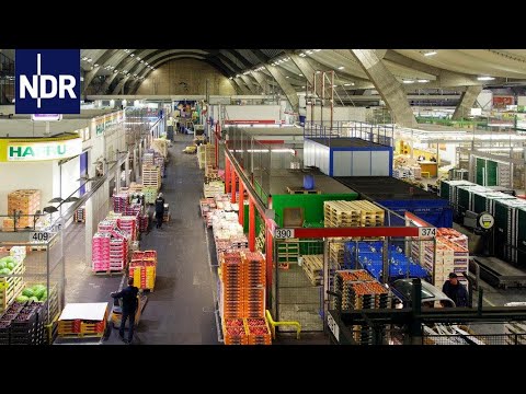 Hamburger Großmarkt – Obst und Musik | die nordreportage | NDR Doku