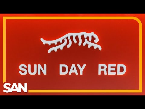 Tiger Woods’ Sun Day Red apparel brand sued by Puma over logo