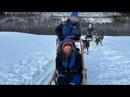 Husky Experience with Self-Drive Dog Sled Ride, Scenic Bus Rides, More Souvenir Shopping