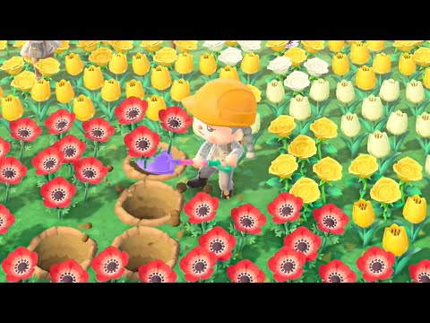 I'm getting goosebumps now