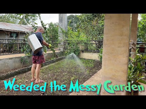 Project Clear Those Weeds