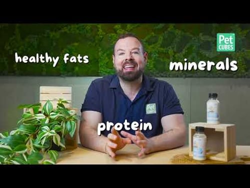 PhD Nutritionist Explains the Best Milk for Dogs & Cats – Benefits & Differences!