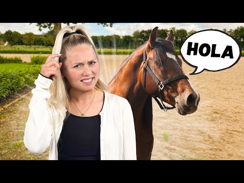 Meine TIERE können SPRECHEN!?