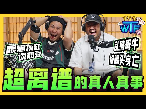 从娶情趣娃娃做老婆,到搞母牛!人类大崩坏...盘点全球其中最离谱的8个国际新闻!|【十万个WT...】|低清Dissy|