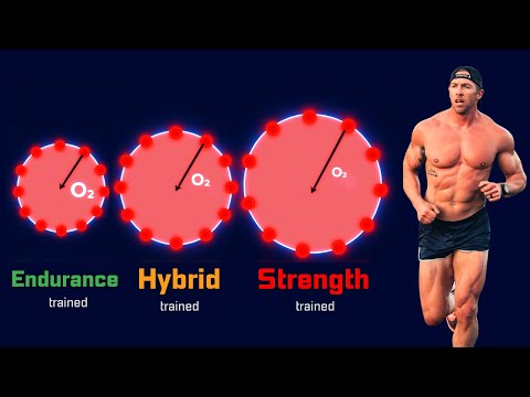 Why Bigger Muscles Hurt Endurance (The Biological Limit)
