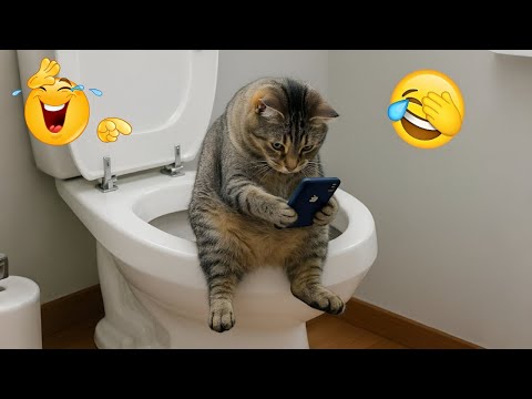 Funniest Cats and Dogs Clips 2025 😹🐶 | Try Not To Laugh Challenge 😂 #funnycats #funnydogs