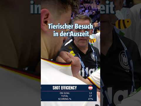 Ally Pally Wespe beim Handball 🐝 | Sportschau