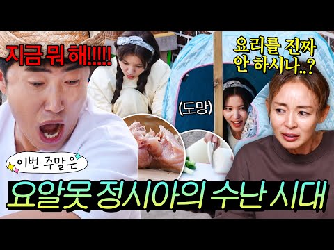 이번 주말은 "💩손 인증 제대로?! 실수 연발 X 장동민의 끝없는 잔소리에 결국 도망간(?) 정시아 수난 시대" 다|대놓고 두집살림|JTBC 251209 방송 외