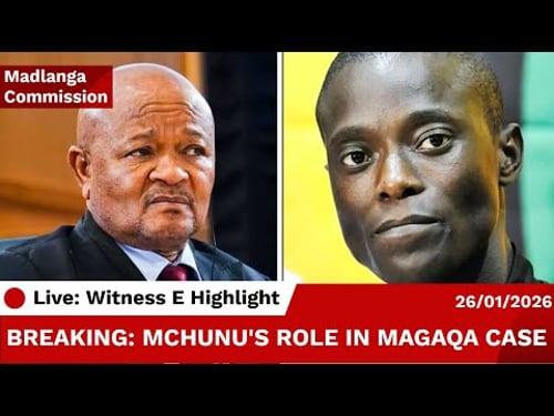 Witness E "SENZO MCHUNU asked me to lie" in Sindiso Magaqa's Assassination