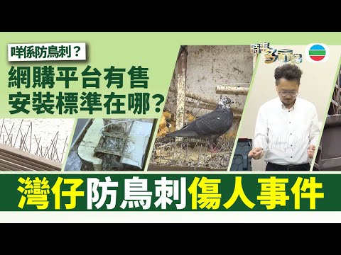 TVB時事多面睇|天降防鳥刺傷人:網購平台有售,安裝標準在哪?|2025年4月30日|無綫新聞 |TVB News