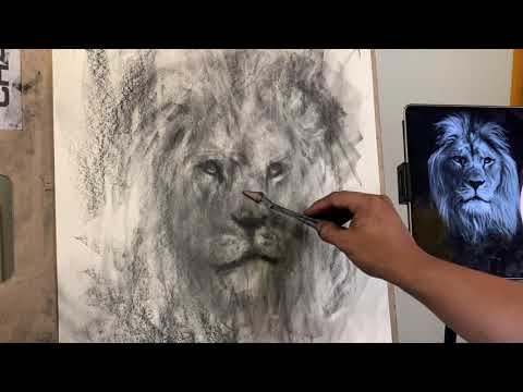 LION CHARCOAL DRAWING