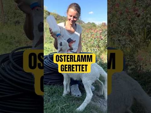 Wieso isst man sowas? #ungewohnt