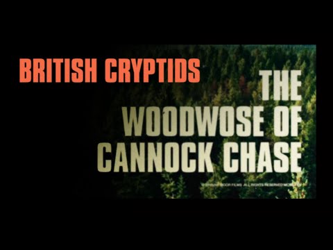 British Cryptids: The Woodwose Of Cannock Chase
