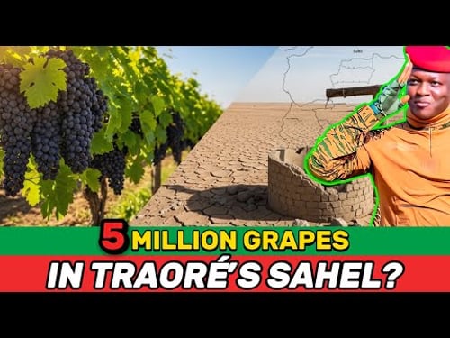 Grapes in the Sahel: How Burkina Faso Is Turning Desert Into Vineyards