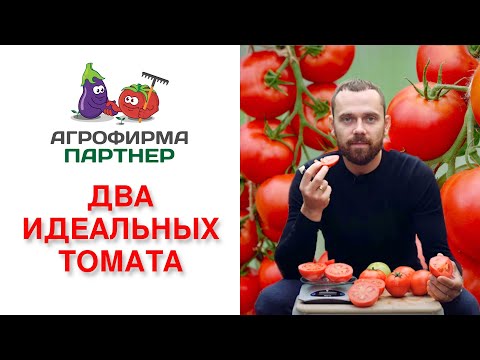 ДВА ИДЕАЛЬНЫХ ТОМАТА ДЛЯ ФЕРМЕРОВ И ОГОРОДНИКОВ