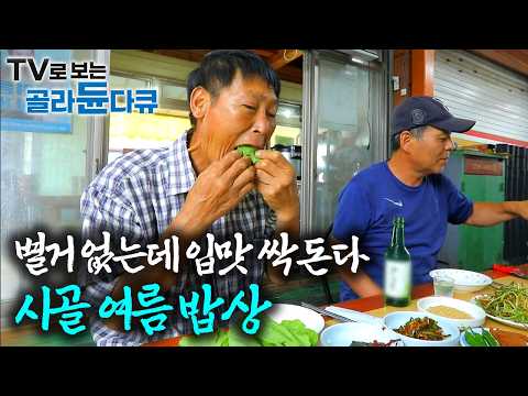 무더위에 집 나간 입맛 싹 돌게 해주는 여름 밥상 모음|한국기행|#골라듄다큐