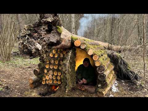 Building a log shelter from the Snow under the trunk of a hanging tree. A warm bed. Catch and cook