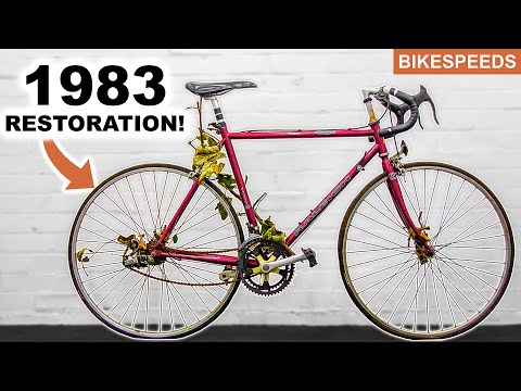 Raleigh Phoenix Full Restoration in 19 Minutes! Vintage Road Bike Rebuild 1983! Bearing service!