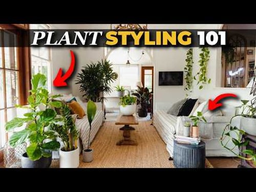 Styling Your Home with Indoor Plants (Just 3 simple tips!) | Julie Khuu