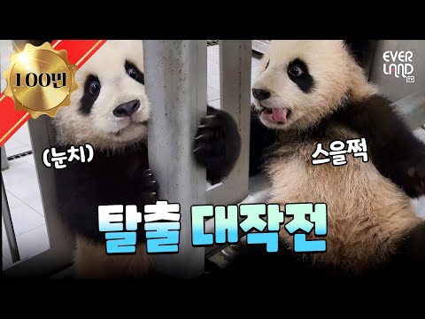 It’s Bao Family Friday! The five unique Baos share how they welcomed the New Year!