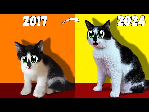 МАЛЕНЬКИЙ КОТЁНОК МАЛЫШ и КОШЕЧКА МУРКА! 1 РОЛИКИ А НУ КА ДАВАЙ КА! РЕАКЦИЯ НА ВИДЕО