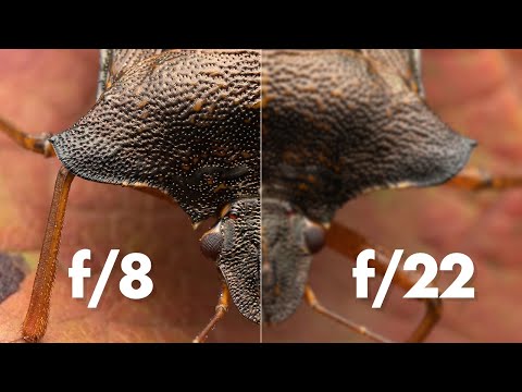 Macro Photography Diffraction – Explained Simply!