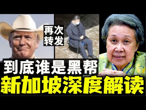 何晶转发两次了,新加坡网友留言深度解读,习近平黑帮老大超过川普,李显龙夫人何晶转帖,东南亚打脸习近平(小木谈天第558期20250424)