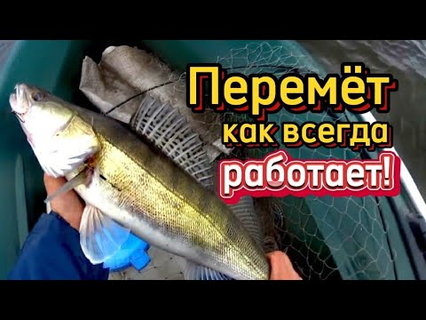 Перемёты опять сработали. Рыба есть! 18+ В этот раз без цензуры.