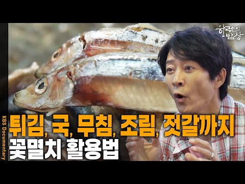 섬 속의 섬 비양도 여름은 꽃멸치와 문어의 계절! 비양도 사람들의 오래된 맛의 이야기 | KBS 20250703 방송