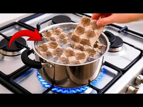 People Throw Away Egg Cartons Every Day! Boil Them and Be Shocked 😱 | Creation Invention