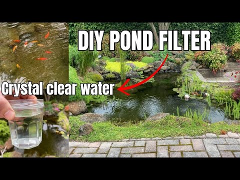The BEST DIY POND FILTER for CRYSTAL CLEAR WATER