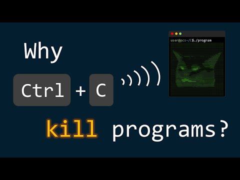 Signals: Make Ctrl+C Do Anything You Want