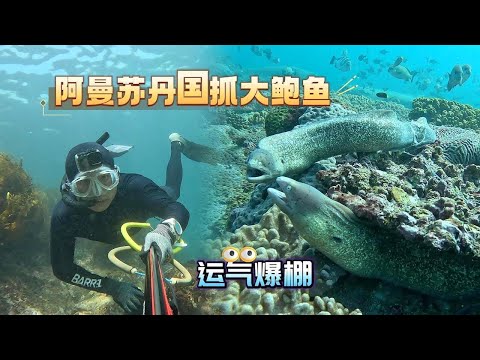 《Oman自驾》第17集:探索中东神秘海域,居然大鲍鱼泛滥