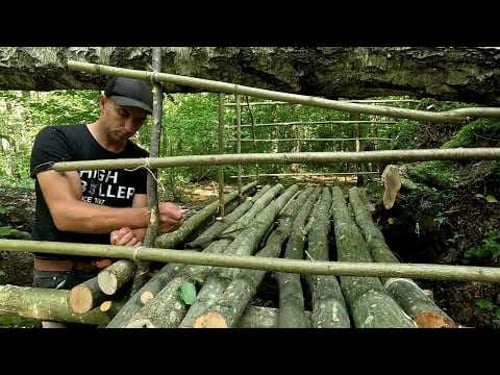 Building a cozy shelter on the trunk of a fallen tree
