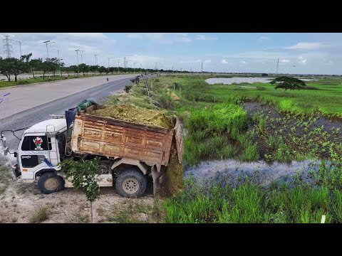 Just Started New Project!Dump Truck Filling Land Flood Area,Fast Action Use Dozer D31A Pushing Soil