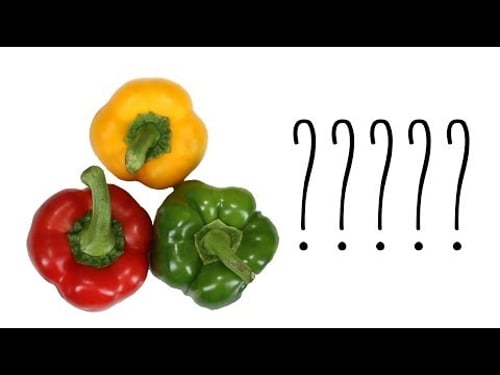 What's The Difference Between These Foods?